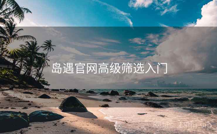 岛遇官网高级筛选入门