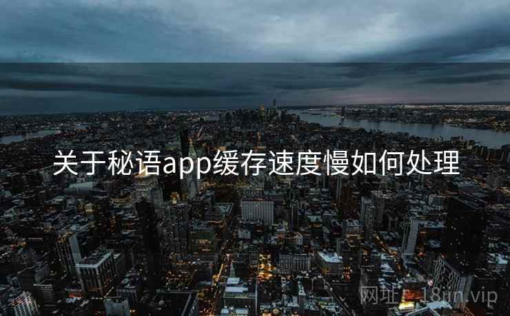 关于秘语app缓存速度慢如何处理