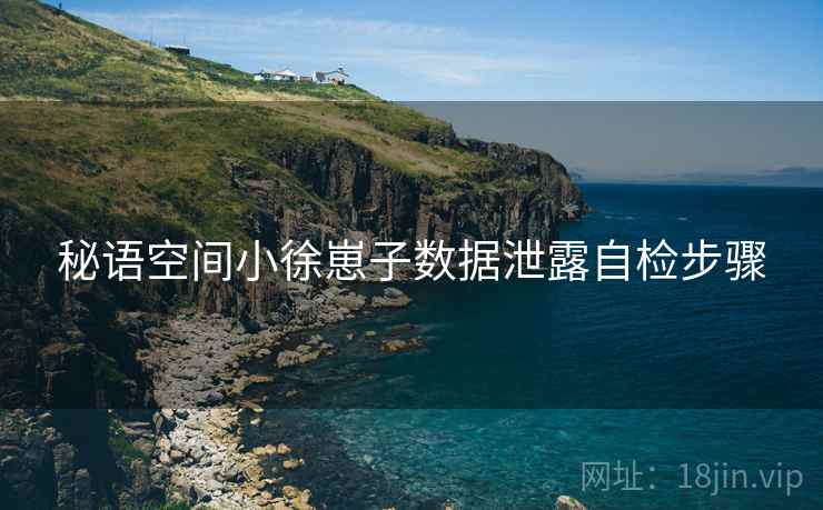 秘语空间小徐崽子数据泄露自检步骤