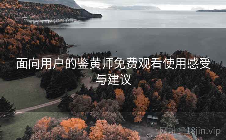 面向用户的鉴黄师免费观看使用感受与建议