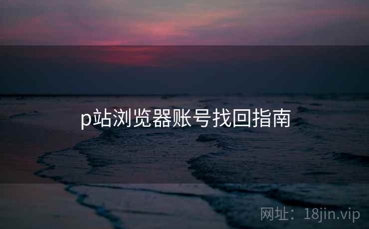 p站浏览器账号找回指南