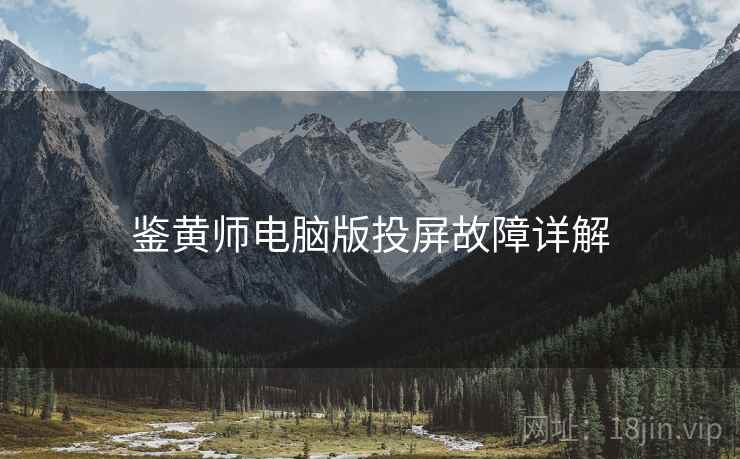 鉴黄师电脑版投屏故障详解