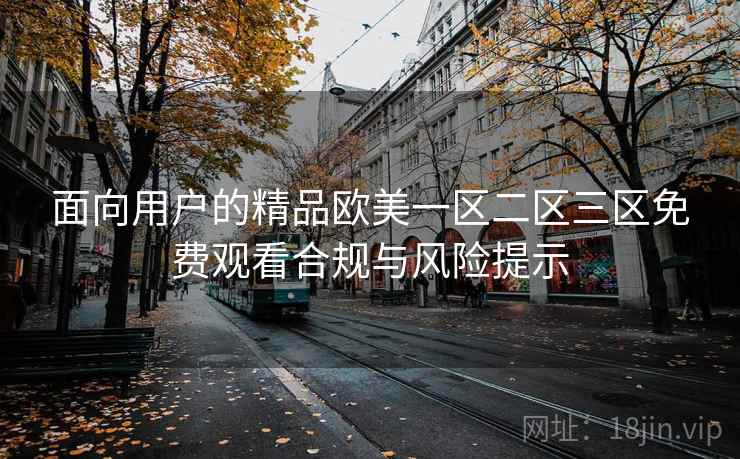 面向用户的精品欧美一区二区三区免费观看合规与风险提示